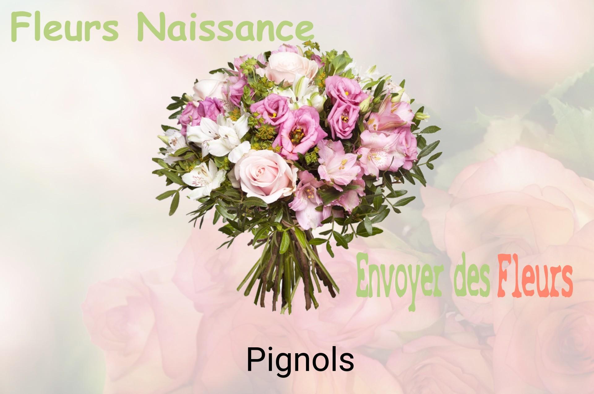 Bouquet de fleurs de naissance livré à Pignols